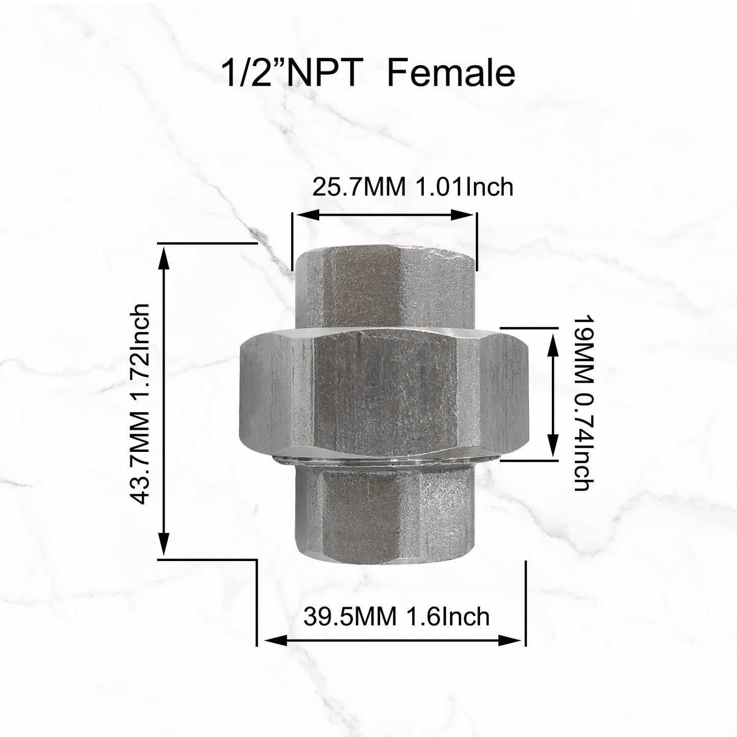 AN FITTINGS -6 FEMALE AN FITTING UNION COUPLER